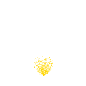 qlwapp-img
